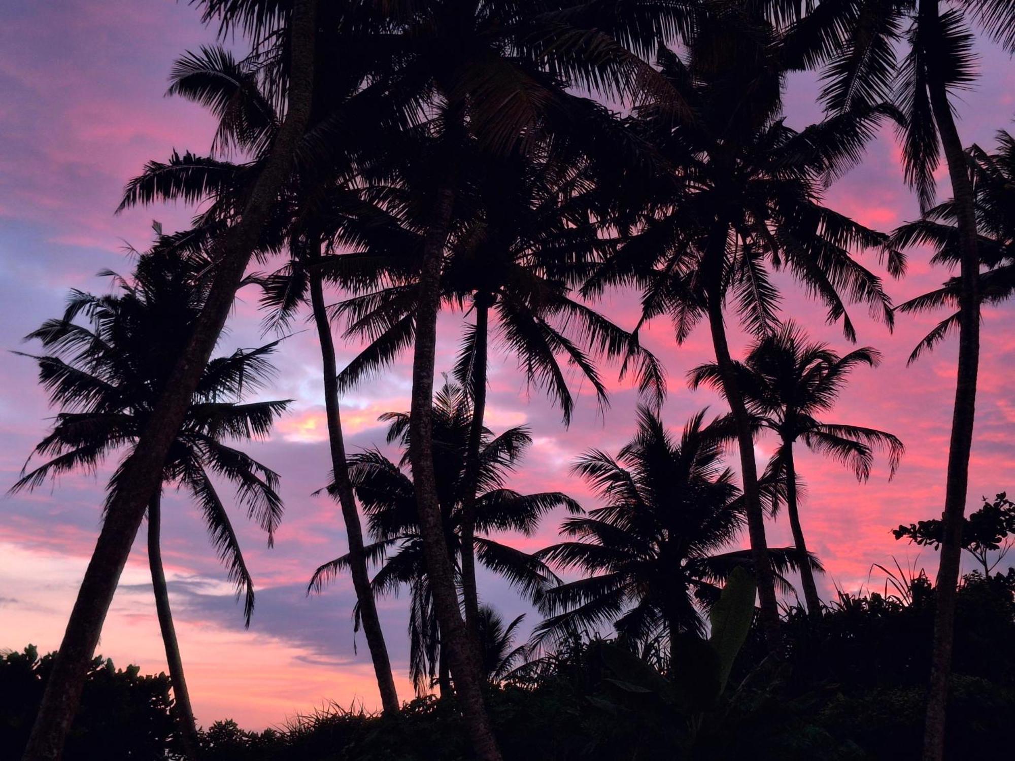 Chill House Make A Good Story With Infinite Ocean Surf And Stay Weligama Zewnętrze zdjęcie